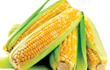 10 korzyści ze spożywania kukurydzy